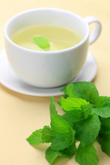 Poster - herb  tea