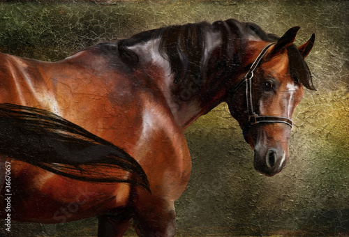 Naklejka - mata magnetyczna na lodówkę The Thoroughbred classical oil portrait