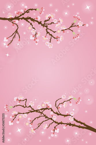 Tapeta ścienna Tło sakura