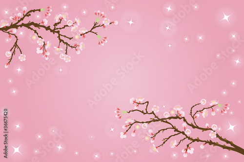 Tapeta ścienna Sakura