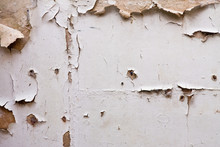 Paint Peeling Off Plaster Wall In A Derelict Building