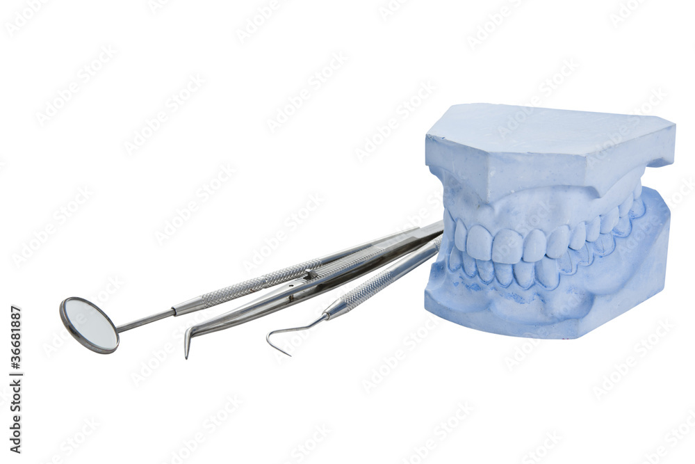 Denture cast model and dental tools set Stock Photo | Adobe Stock
