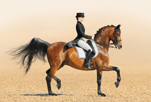 Equestrian Sport - Dressage