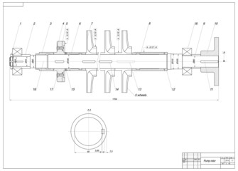 Machine-building drawing. Pump rotor