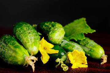 Wall Mural - Cucumbers on black