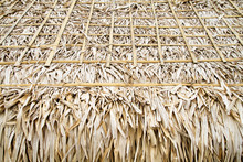 Thatched Roof, Texture, In Northern Thailand.