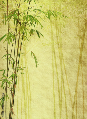 Naklejka dekoracyjna bamboo on old grunge antique paper texture .