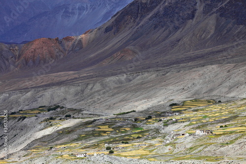 Tapeta ścienna Oaza himalajska - Ladakh, Jammu i Kaszmir, Indie