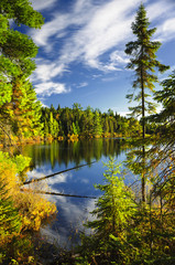 Wall Mural - Forest and sky reflecting in lake