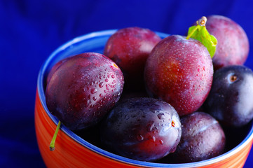 Plums. Fresh ripe washed plums in a ceramic bowl close-up on a b