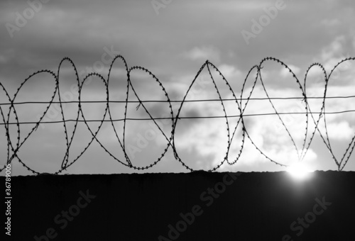 Fotografia, Obraz  barbed wire
