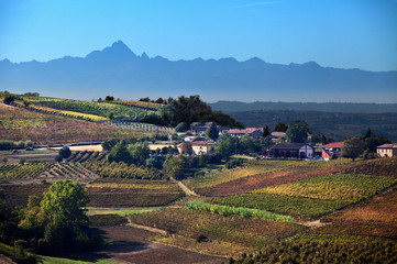 Landscape: hills near Costigliole d'Asti. On the backgroung the