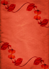 Retro red flower border