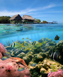 Over and underwater split view with a tropical restaurant over the sea and a coral reef with tropical fish, Bocas del Toro, Panama, Central America