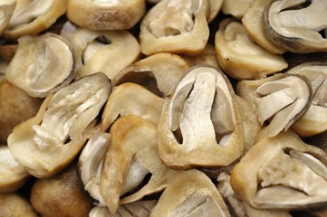 Canvas Print - Macro of prepared straw mushrooms