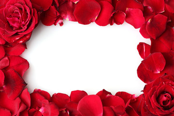 Poster - frame of beautiful petals of red roses