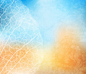 Wall Mural - Abstract background with leaf skeleton fragment. eps10