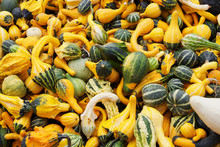 Pile Of Yellow And Green Squash
