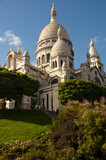 Fototapeta Paryż - Bazylika Sacre Coeur