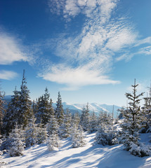 Sticker - Winter landscape