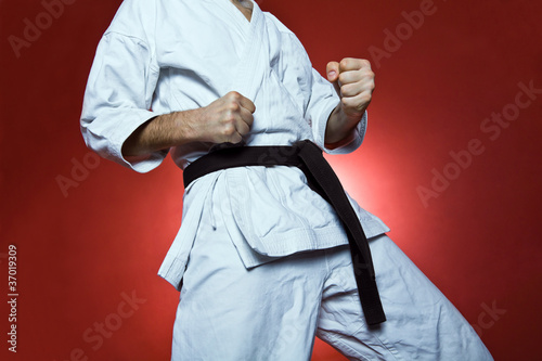Plakat na papierze fotorealistycznym Trening karate