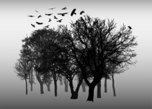 Beautiful Winter Tree And Birds Silhouettes, Highly Detailed