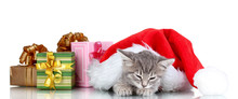 Beautiful Gray Kitten, Christmas Hat And Gifts Isolated On White