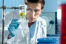 Scientist Working At The Laboratory