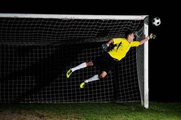 Wall Mural - goalkeeper