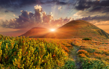 Wall Mural - Colorful autumn landscape in the mountains. Sunrise