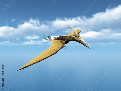 Board z aluminiowym obramowaniem Ocean marynarz pteranodon ingens