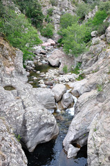 Canvas Print - gorges du prunelli 9