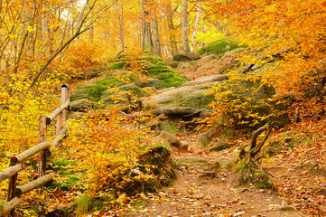 Canvas Print - Wanderweg - hiking trail 03