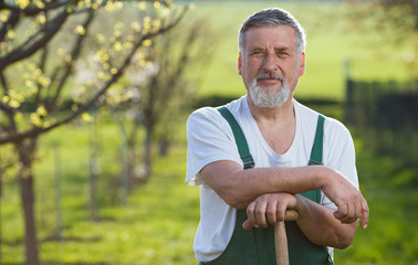 portrait of a senior man gardening in his garden