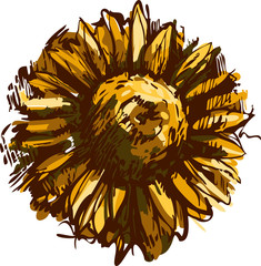 Wall Mural - a sketch blossoming bud plant sunflower field