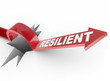 Resilient - Rising to Challenge and Overcoming a Problem