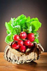 Fresh garden radish