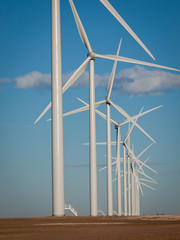 Wall Mural - Wind turbines farm