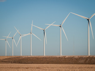 Wall Mural - Wind turbines farm