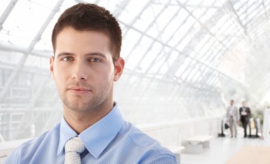 Wall Mural - Portrait of handsome businessman