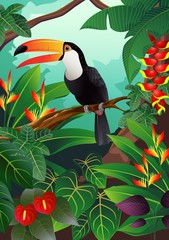 Toucan bird