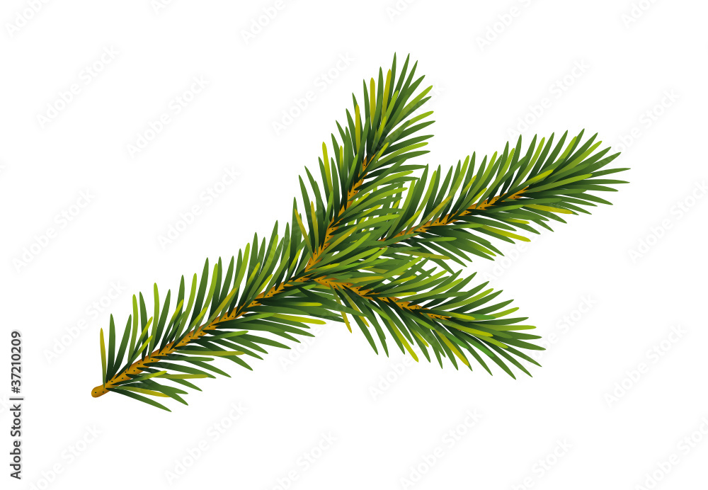 Tannenzweig Stock Vector