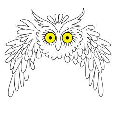 Wall Mural - silhouette owl on white background