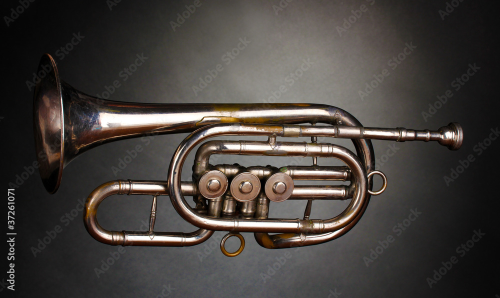 old trumpet on gray background