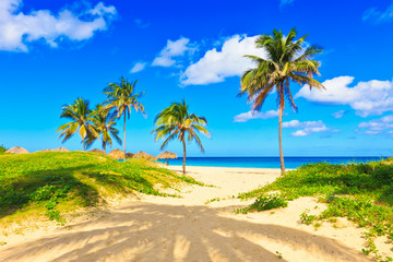 Wall Mural - The beautiful tropical beach of Varadero in Cuba