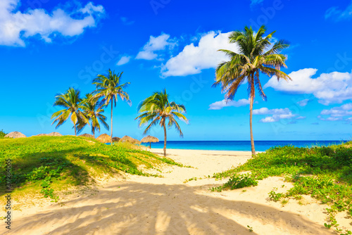 Plakat na papierze fotorealistycznym Piękna tropikalna plaża Varadero na Kubie