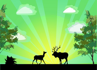 Sticker - two deers between trees at sunrise