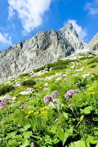 Board z aluminiowym obramowaniem Mała zimna dolina, vysoke tatry (wysokie tatry), słowacja