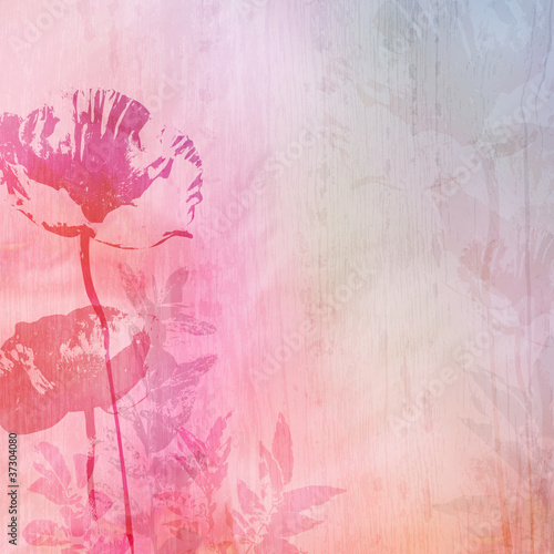 Fototapeta do kuchni grunge background with poppies