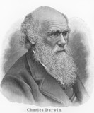 Fototapeta Mapy - Charles Darwin